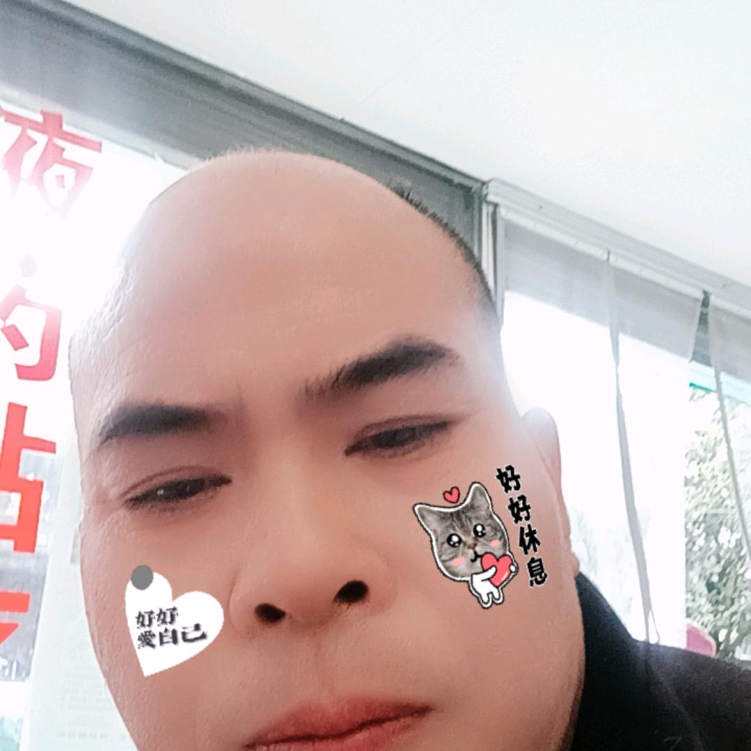 会飞的鱼
