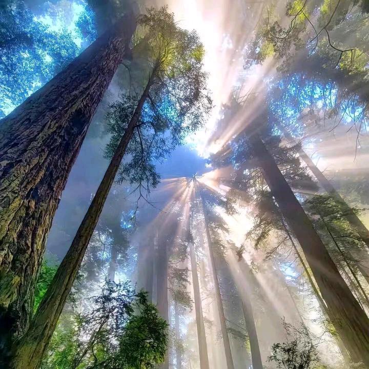 天空下的距离