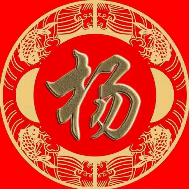 杨晓云