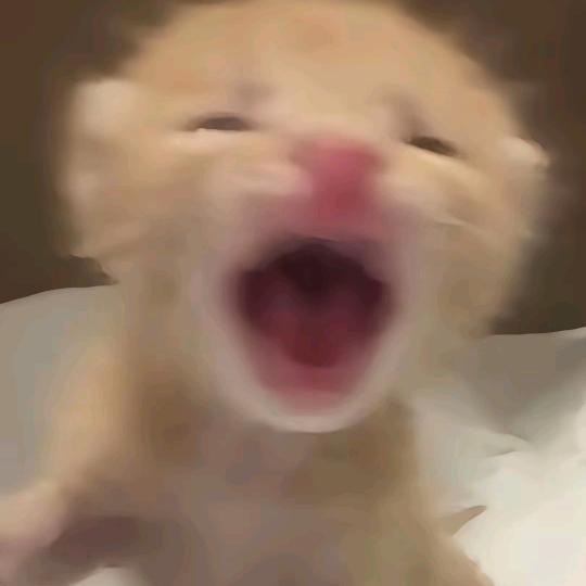 无敌阿水