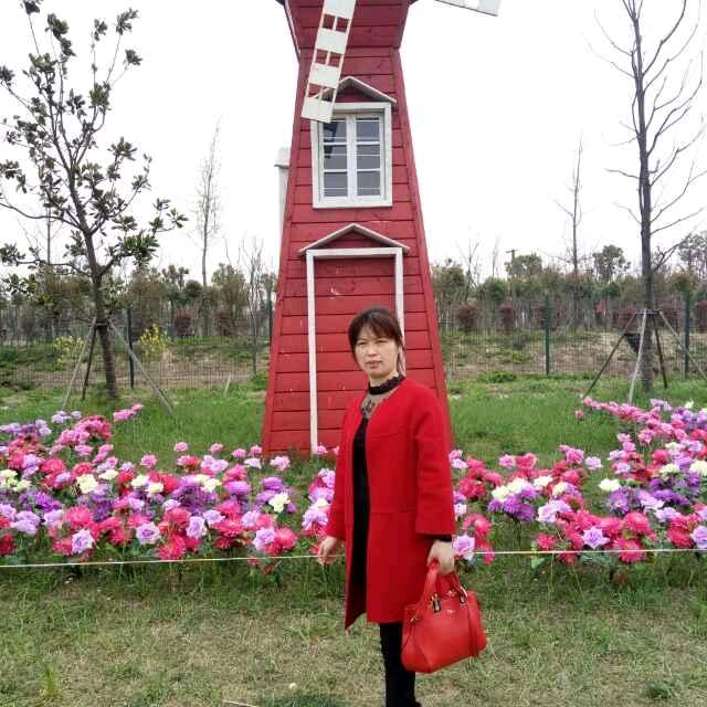 专业修羊毛衫