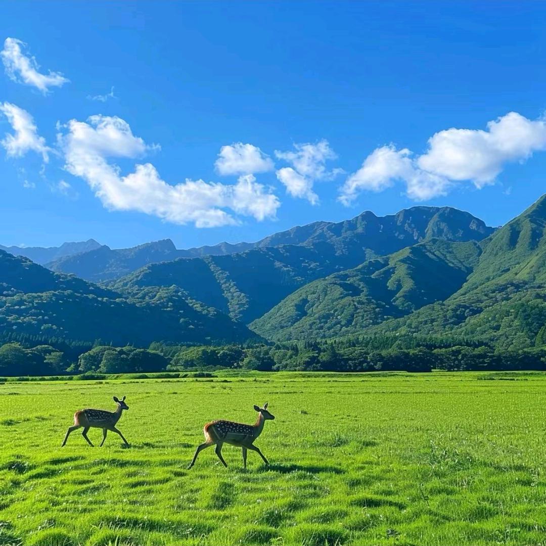菩提子头像
