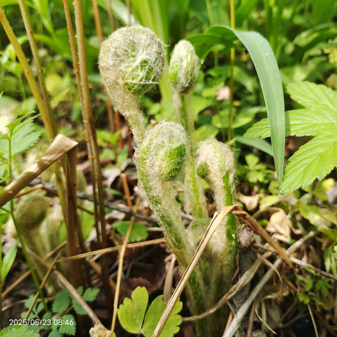 长白山货栈