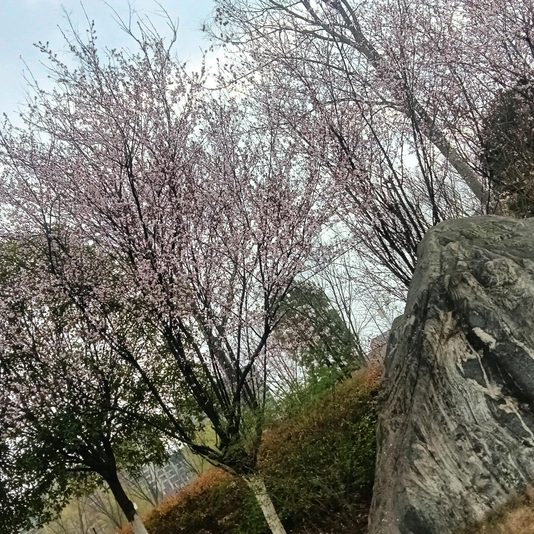 爱你不需要理由