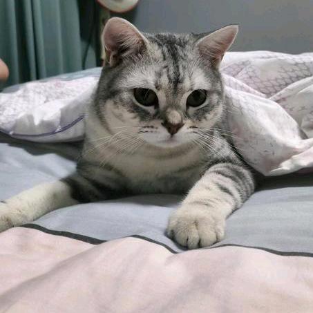 🥀᭄紫气💕东来💕