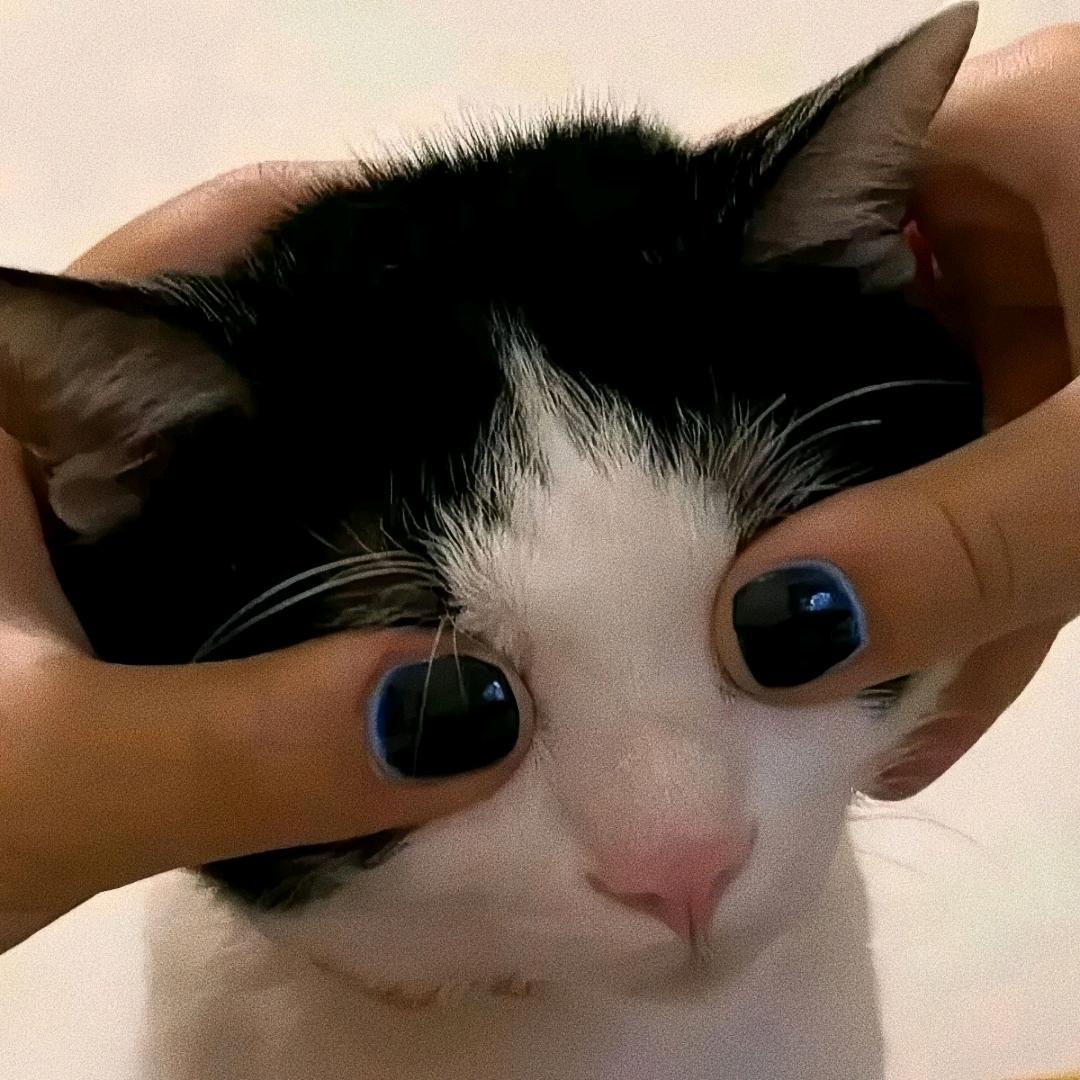 努力睡大觉
