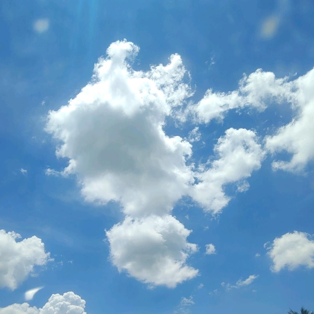 躺在桌子上数羊