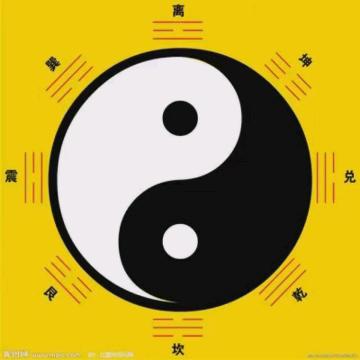 金蟾太极