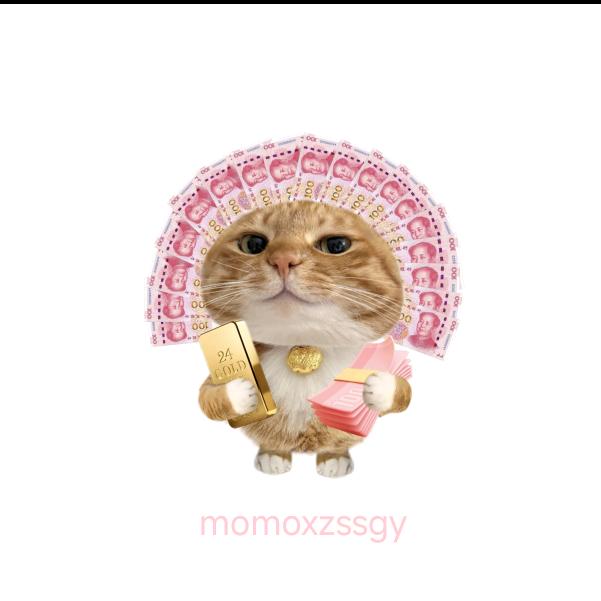 橙子的宝藏天地