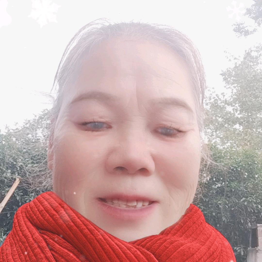 别碰我的小熊