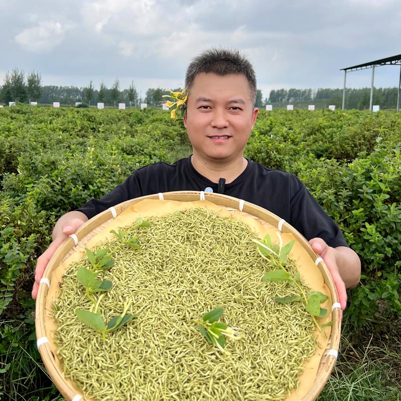 本草麦掌柜