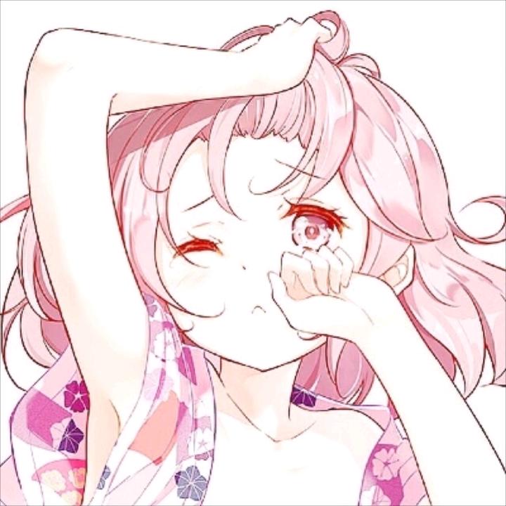 兔猫