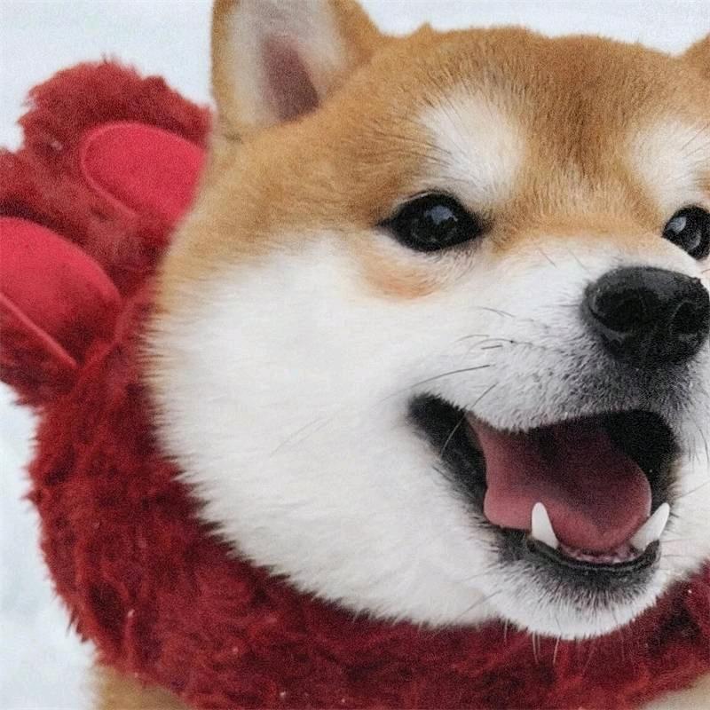 十分