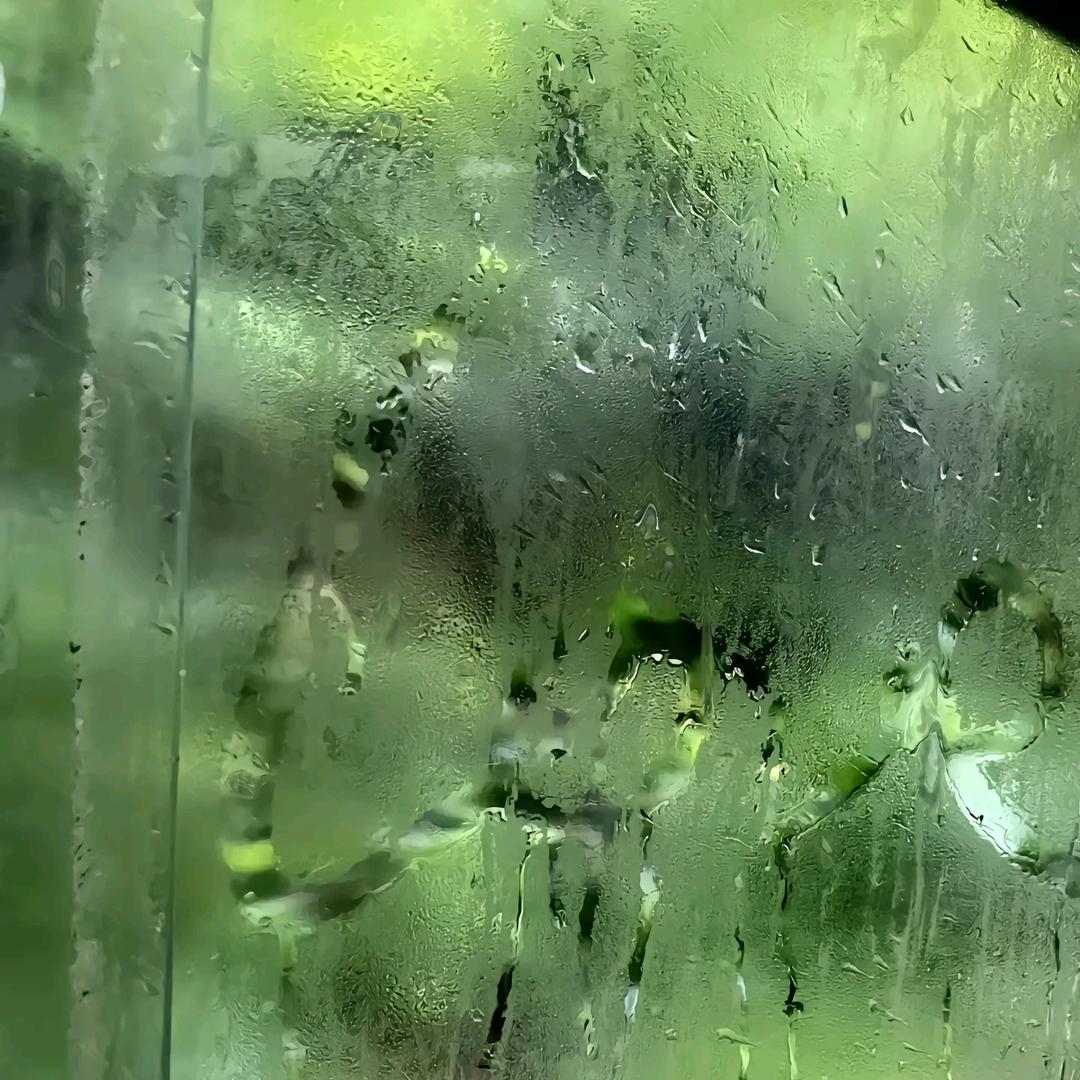 青苹果🍏