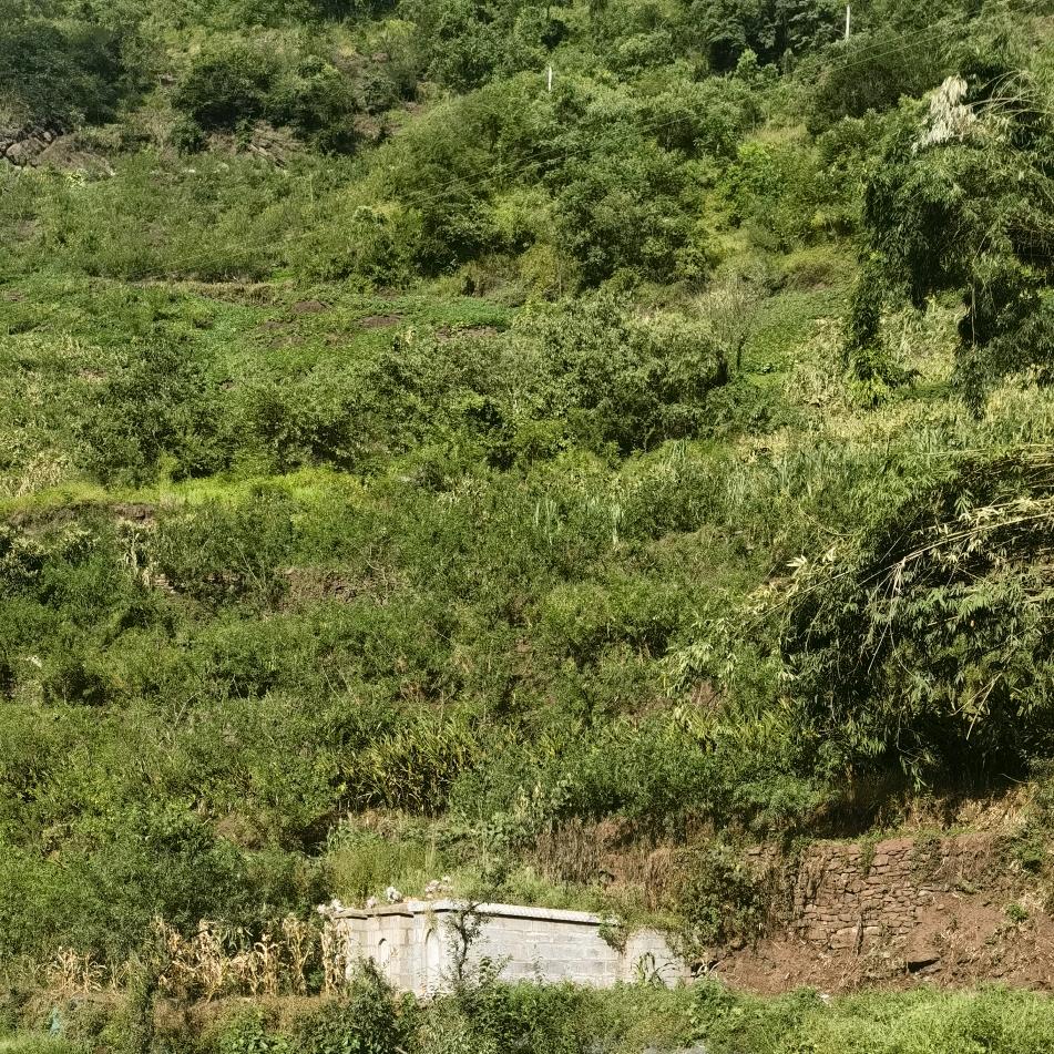 小单