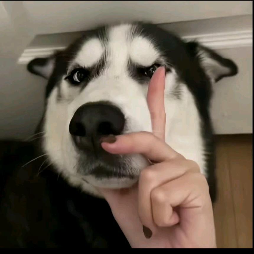 七秒記憶.