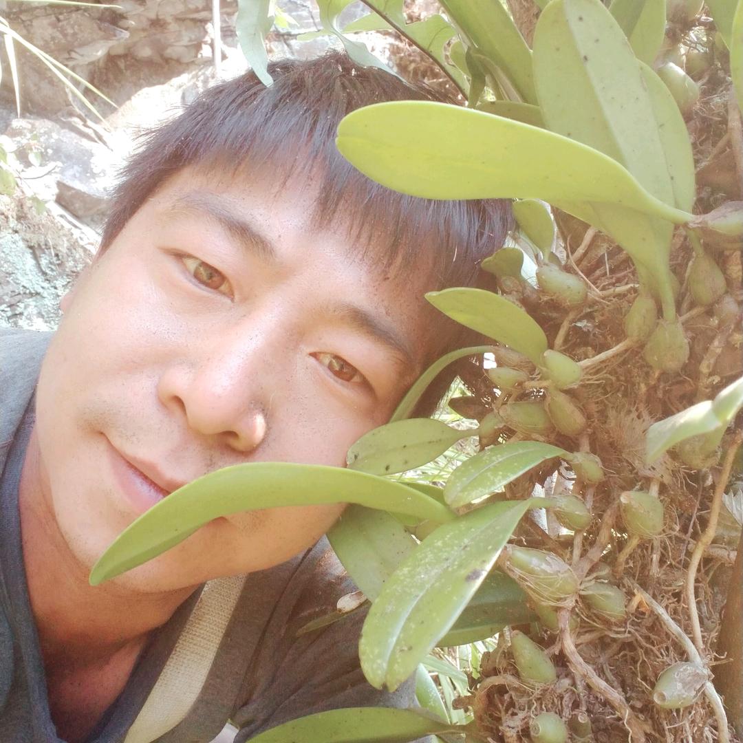 小药童