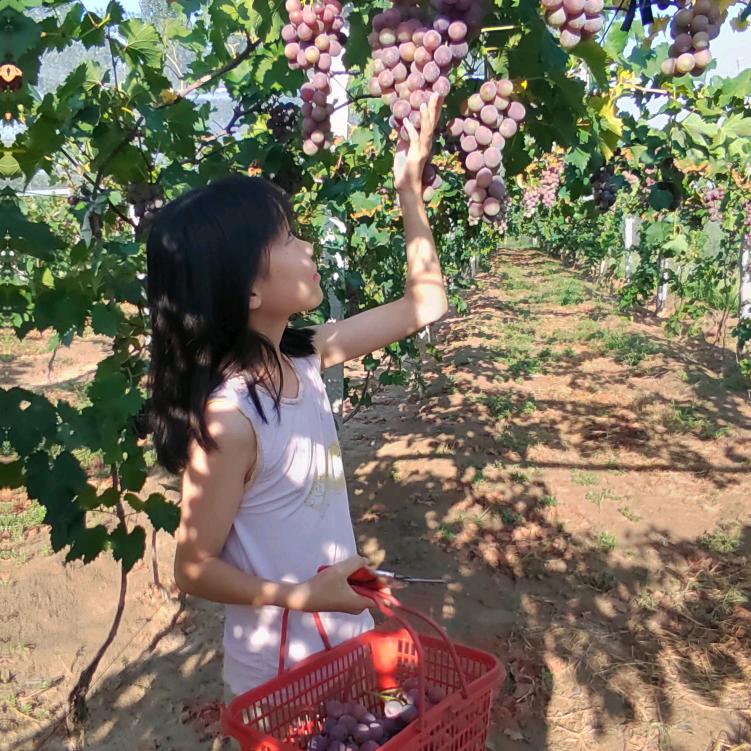 小井呀（拒绝私聊）