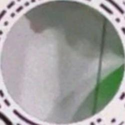 鲅鱼也好吃