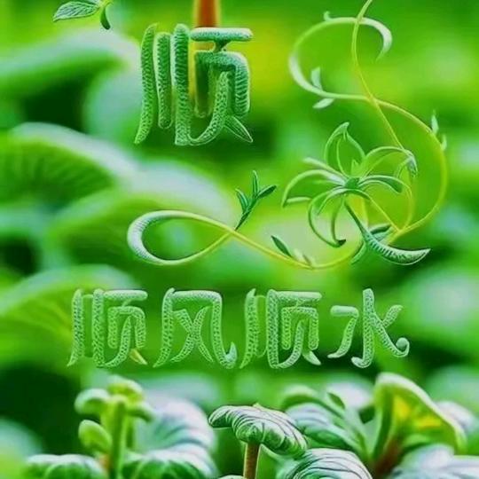 落叶知秋