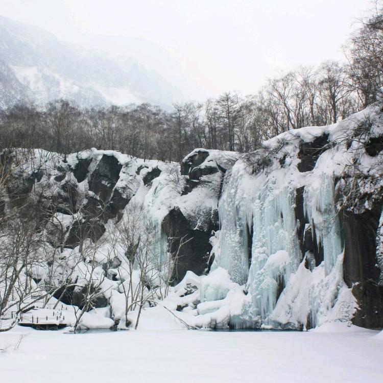 维景1
