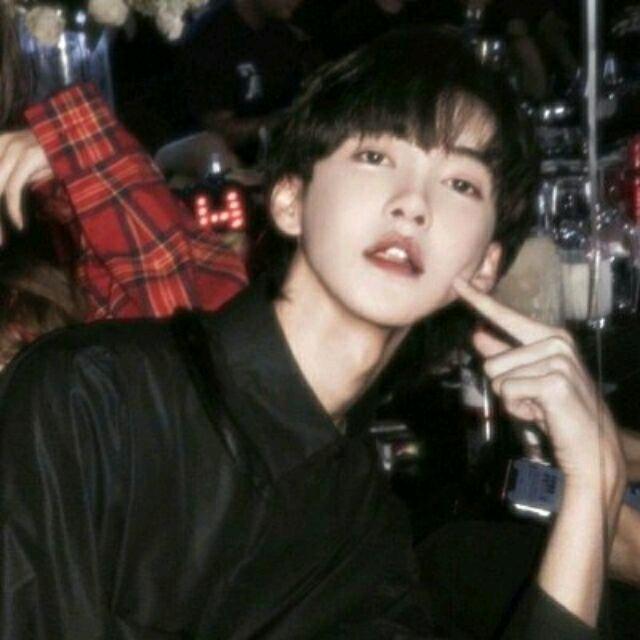 D羊羊
