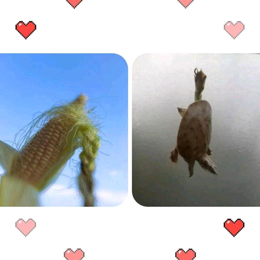 金