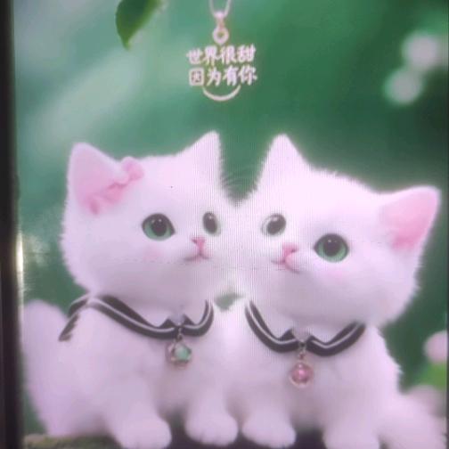 珍惜 自己