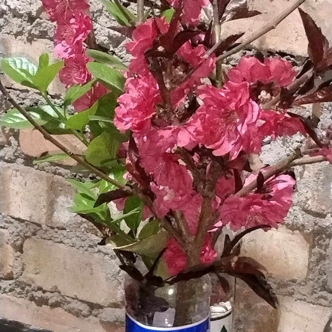 难忘的红色记忆