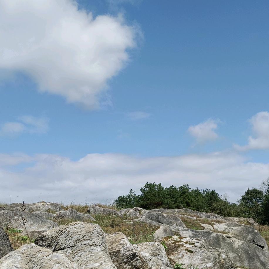 ，，，，，，，，