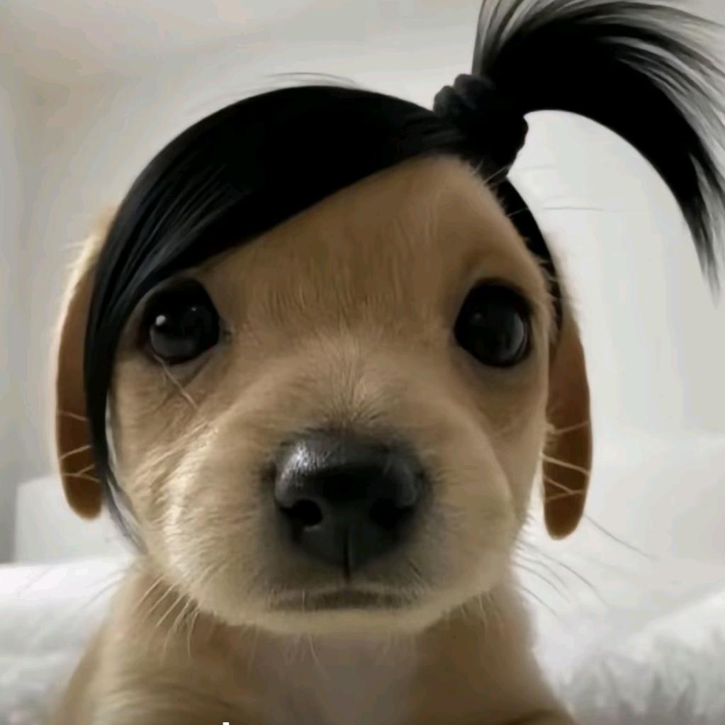 泠薯