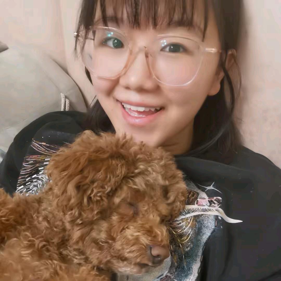 达不溜丁丁