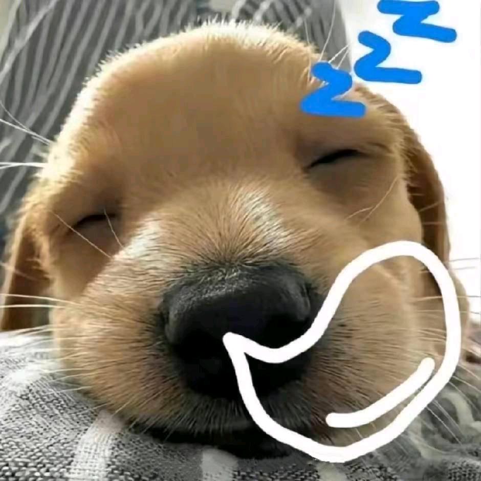 困了（无主之地）