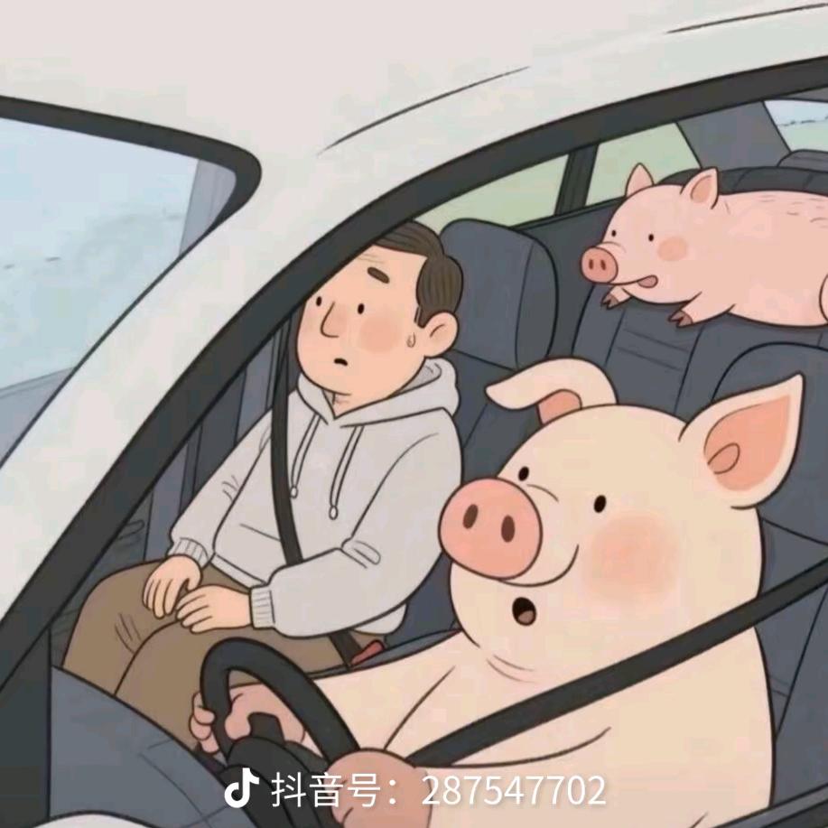 小点点