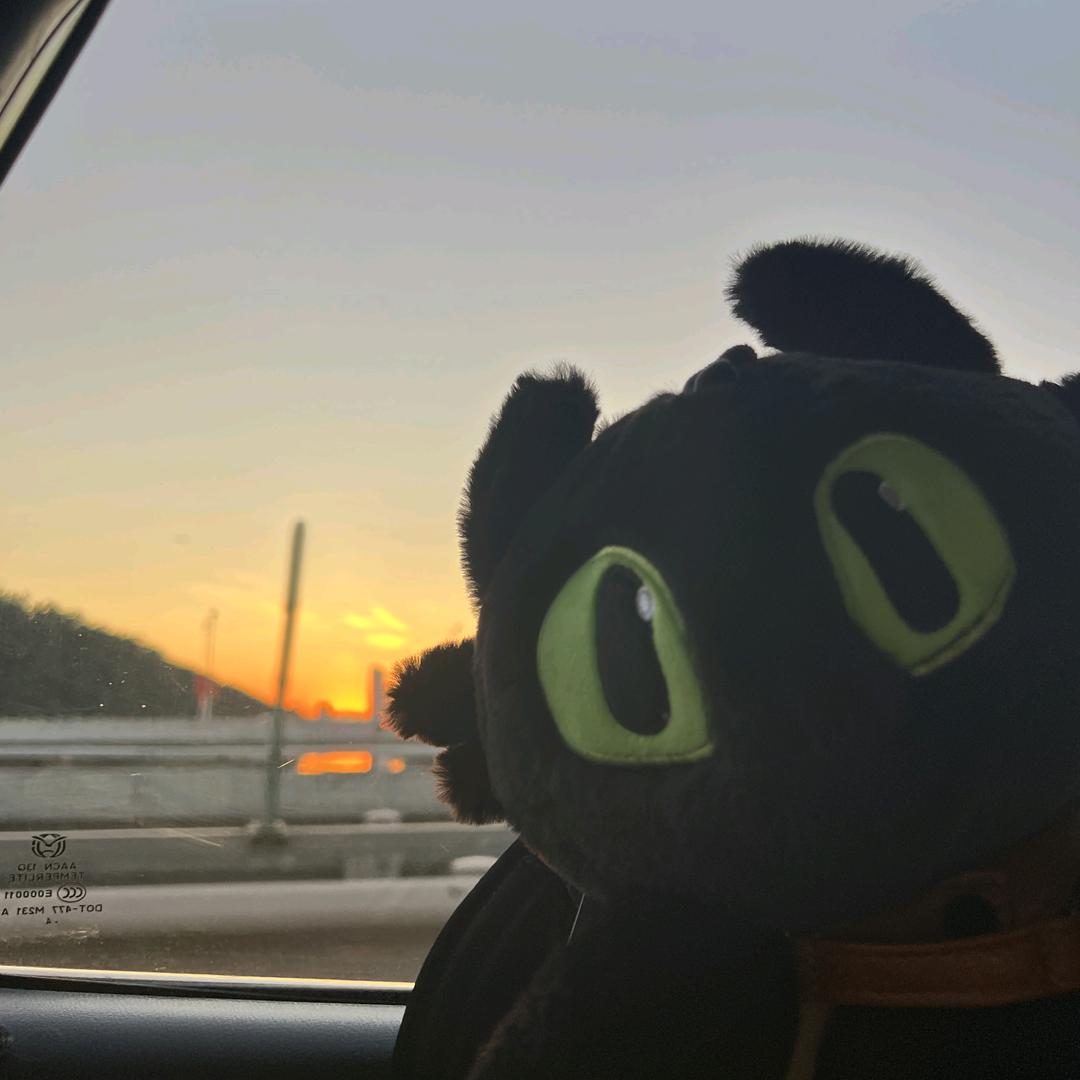 feeling头像