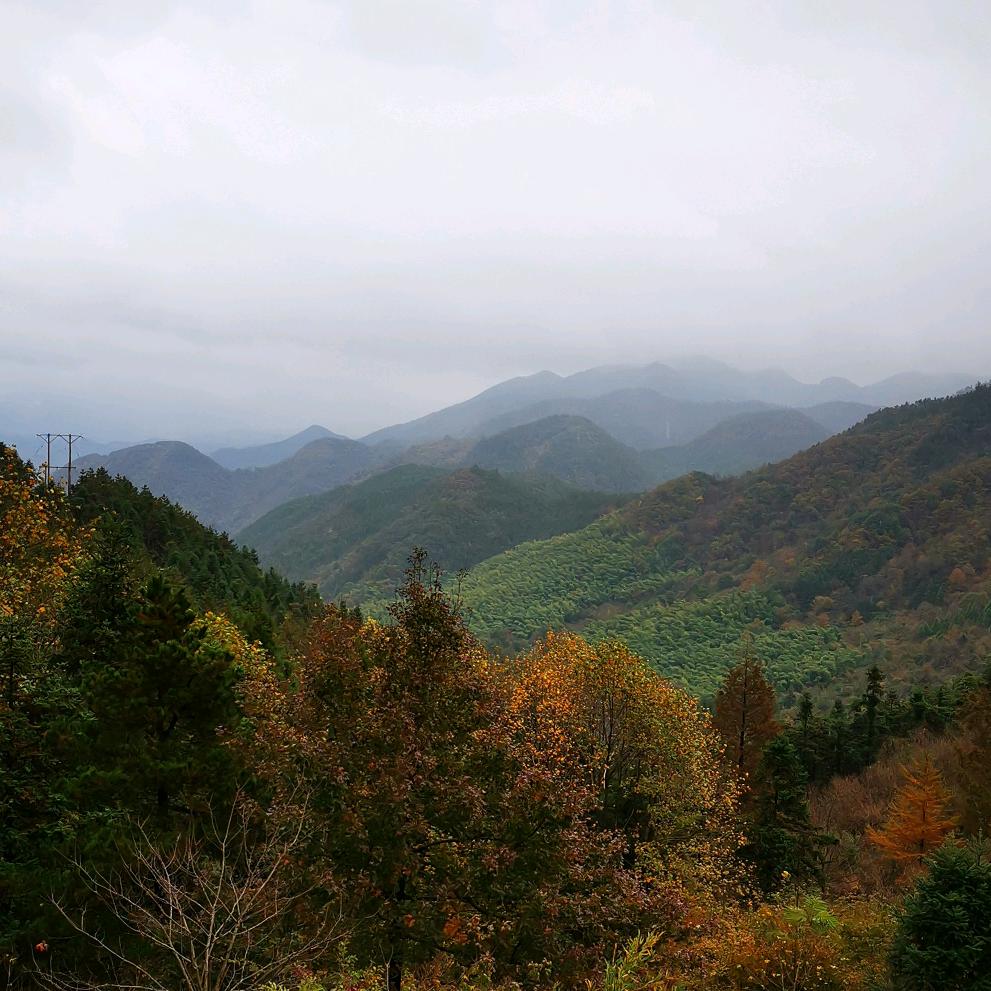 东炸团小黑