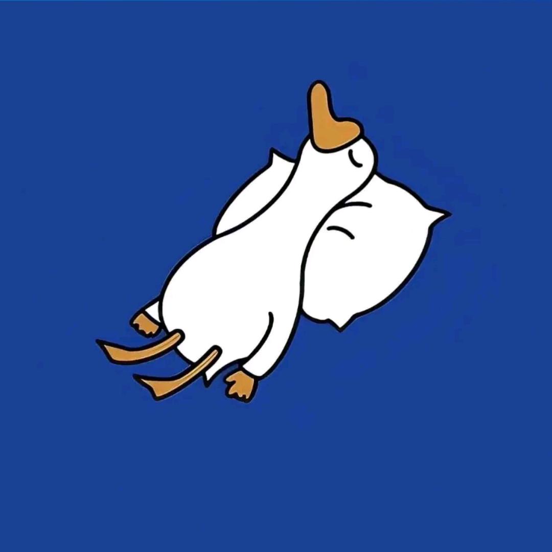 眠星小白（菜鸡版）