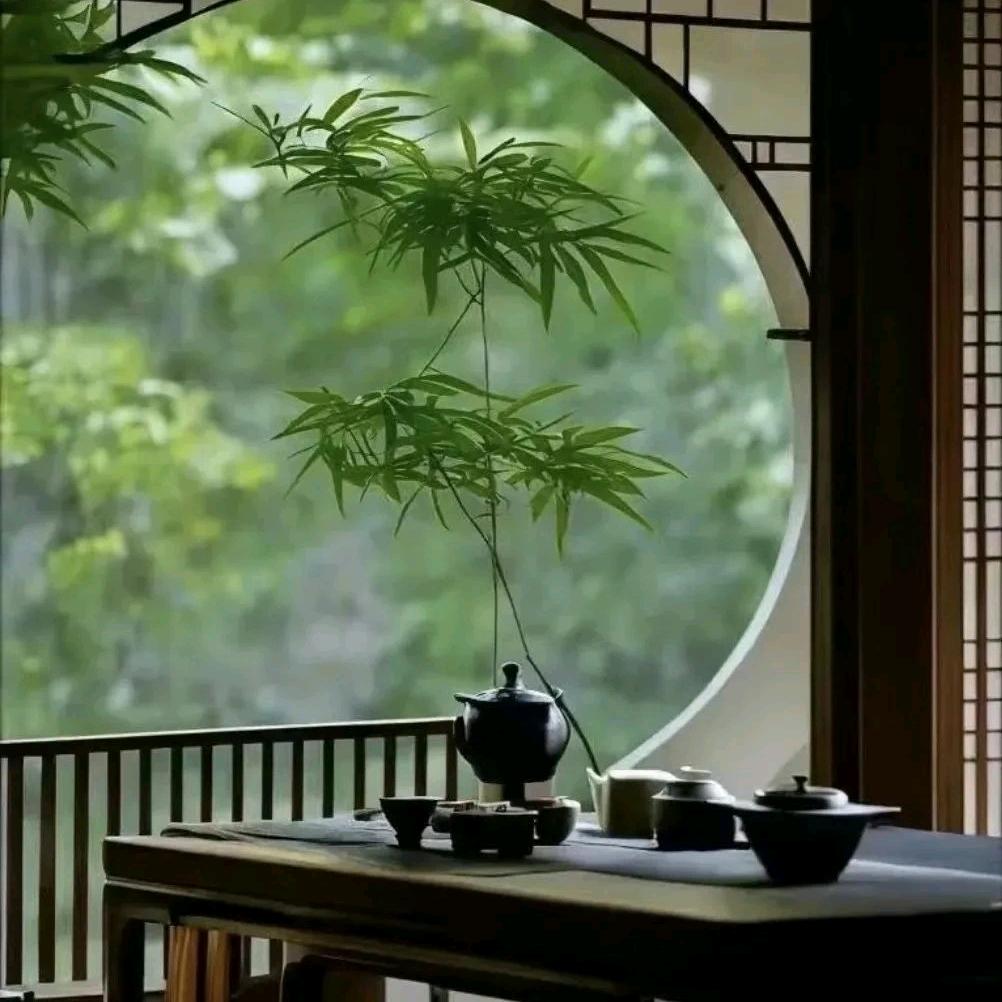 在路上🌏