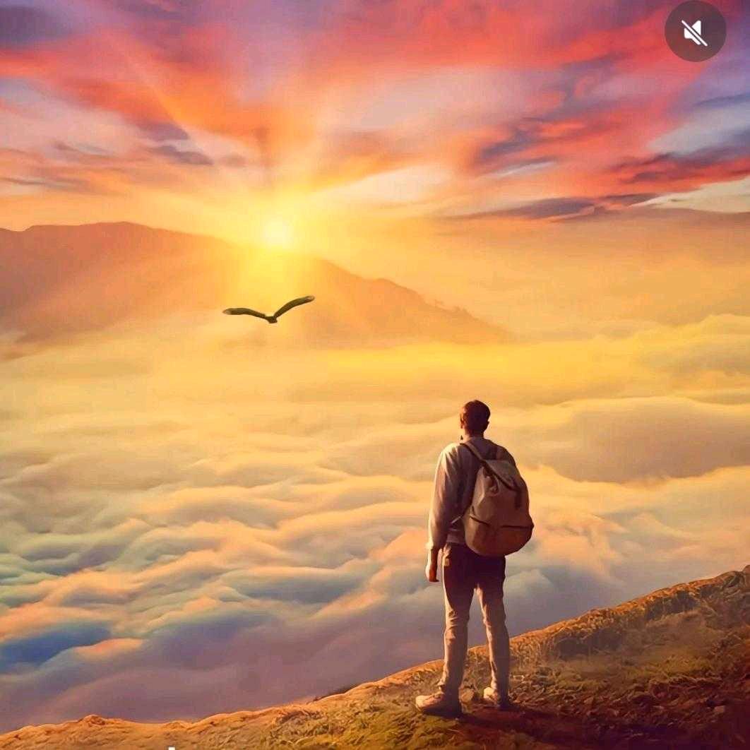 自然🍁🍂🌲🌾