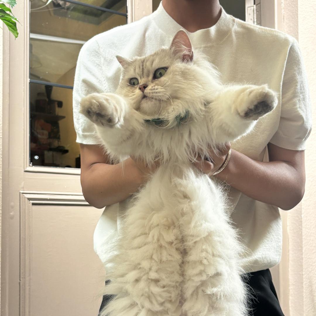 小傅🦔