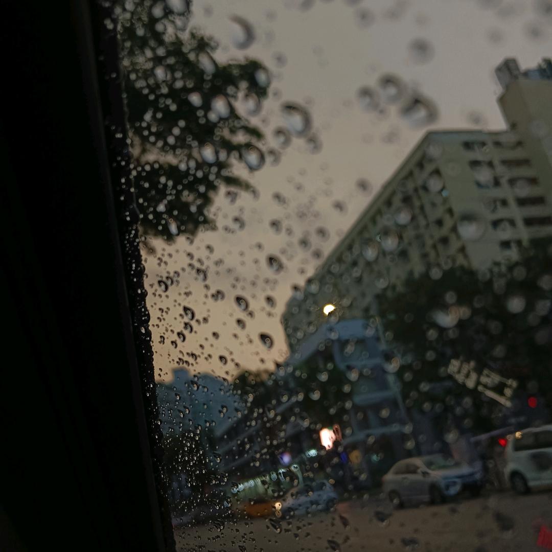 小狼崽