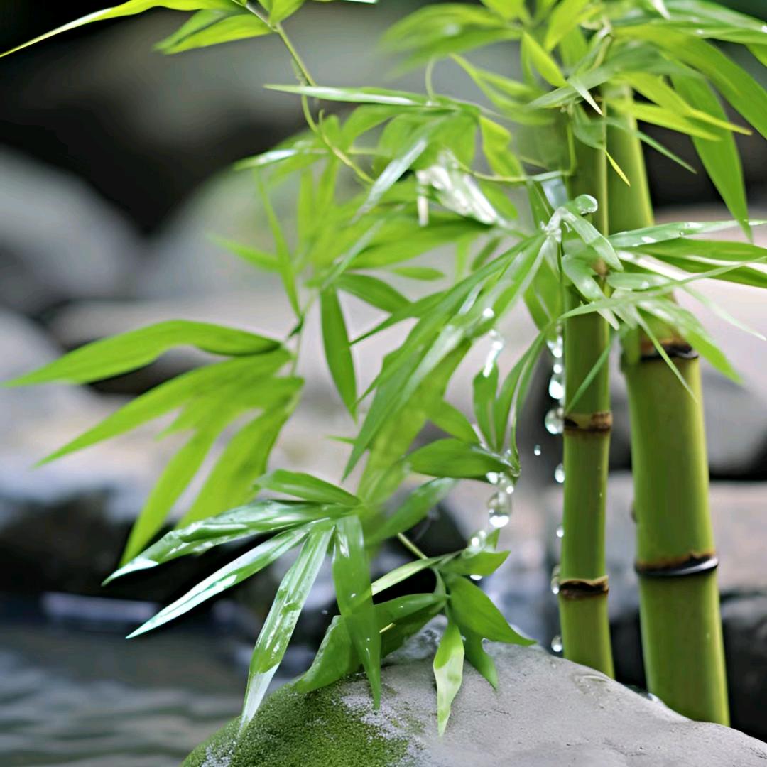 宏安审车(延荣)