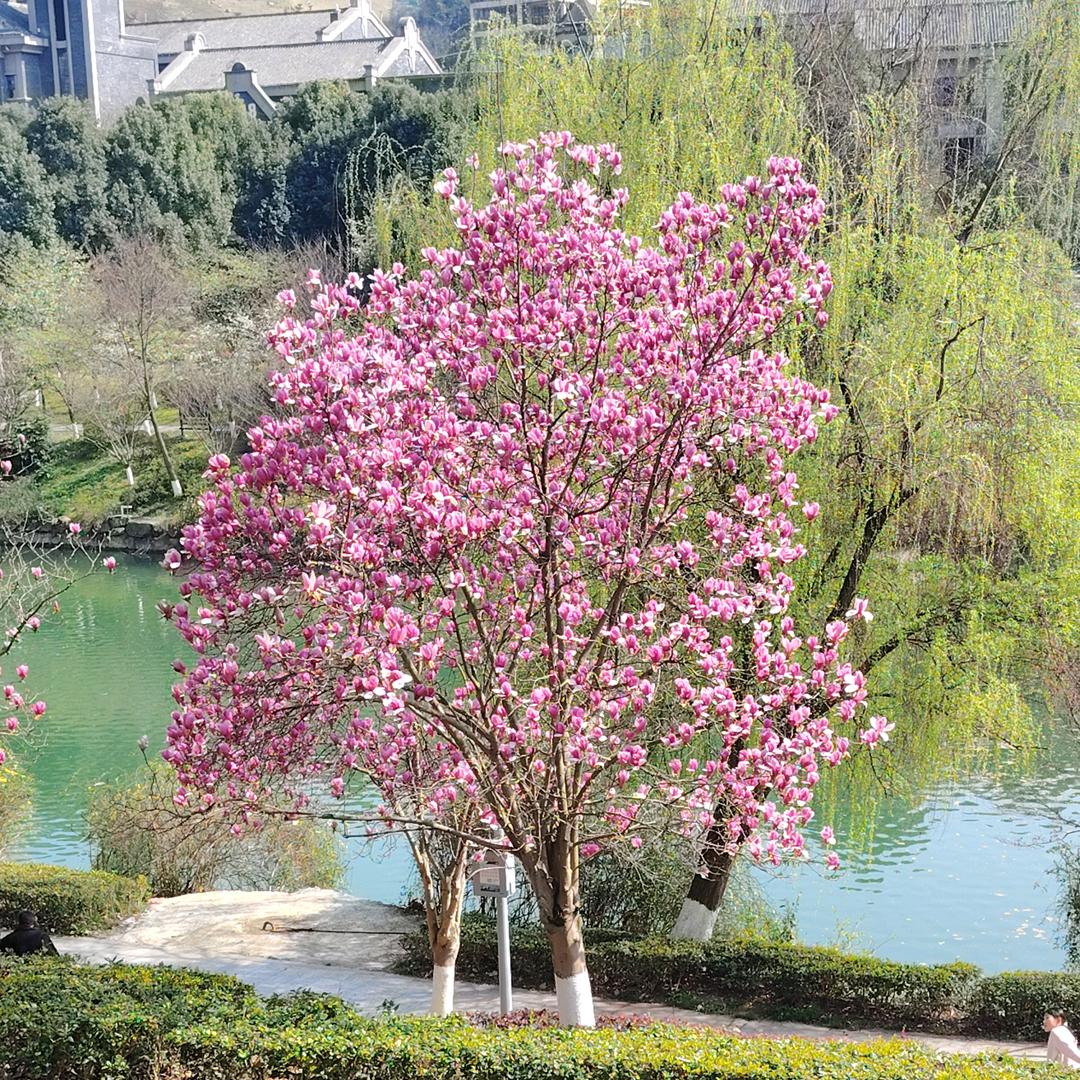 旧林爱吃火锅