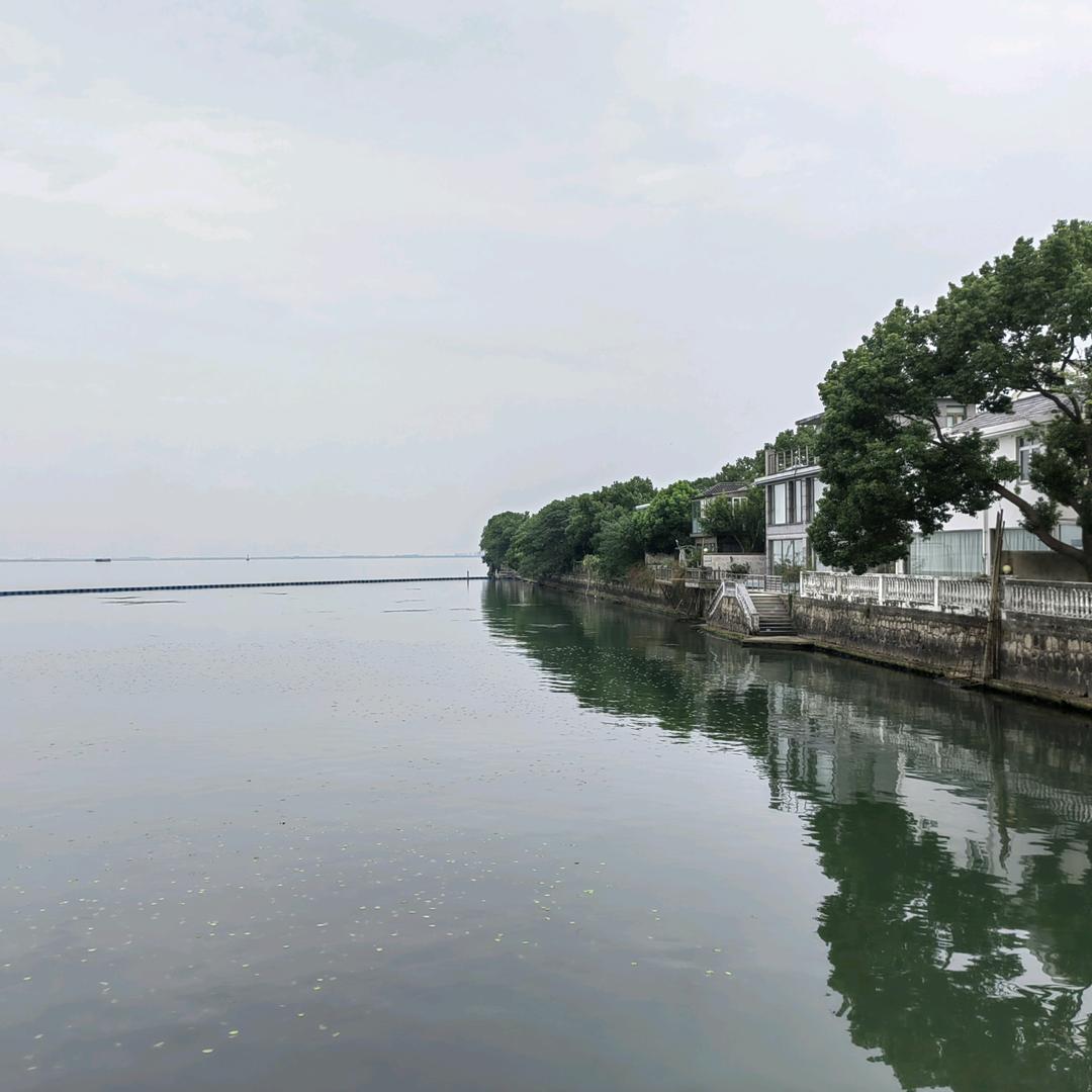 海上飞燕