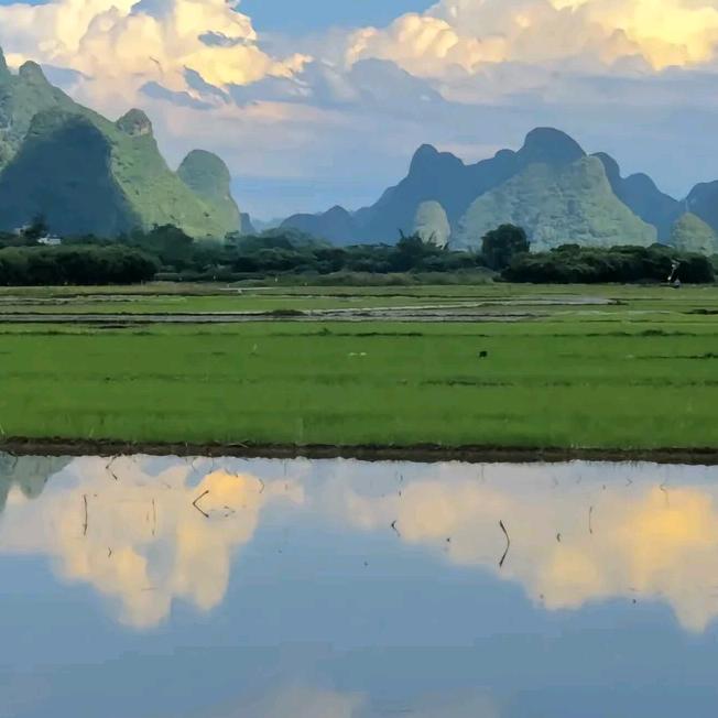 杨二姐