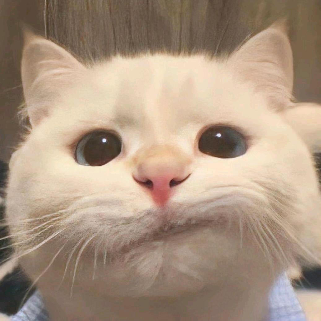 牛 马