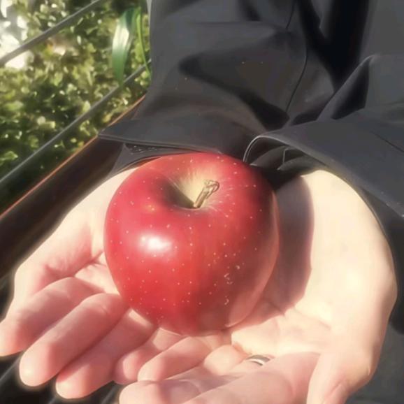 好了个秋