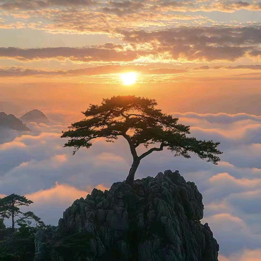 纵横四海