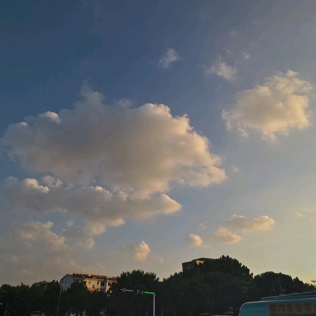 雨夜慢读