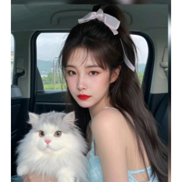 🇨🇳ZHAOYUE